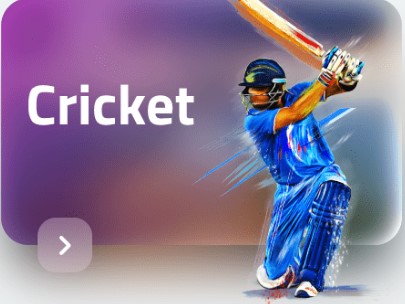 cricket 2